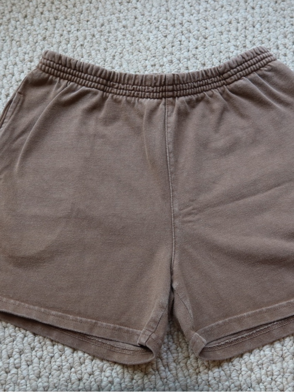 Brown Brandy Melville Shorts
